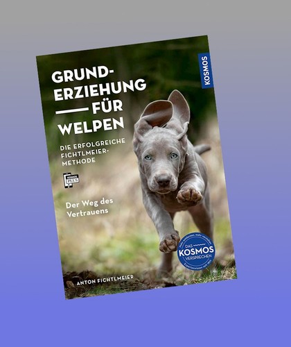 Grunderziehung für welpen - grunderziehung,