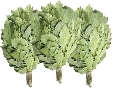 Eichenreisig 3 x 50-60 cm