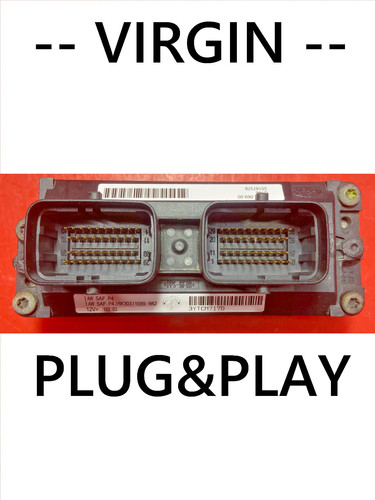 Plug play virgin fiat - plug&play/virgin, punto