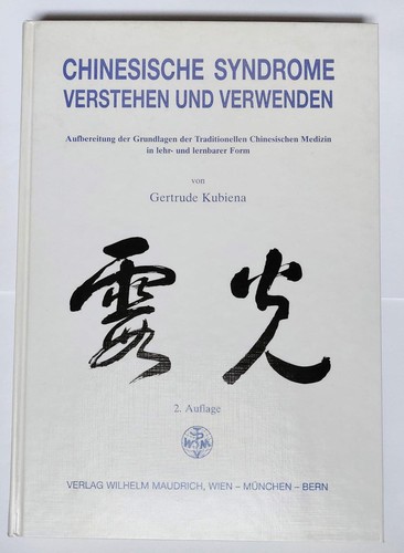 Chinesische syndrome verstehen - syndrome,