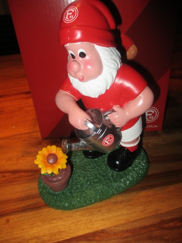 Fortuna düsseldorf - fortuna,