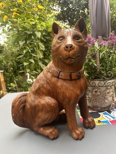 Hund shiba inu - , figur/