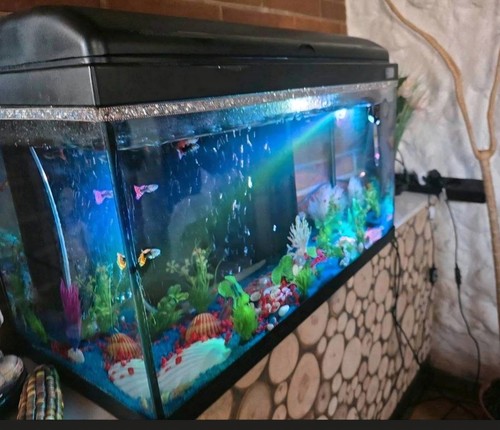 Aquarium 60l mit pumpe - aquarium,