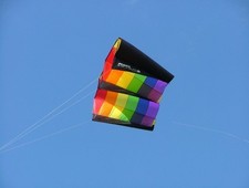 Einleiner  - Power Sled