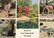Hamburg-Stellingen, Carl Hagenbeck's Tierpark, Mehrbildkarte ngl F5681