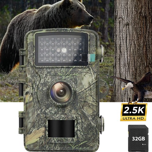 Wildkamera mit nachtsicht - wildkamera,