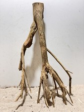 Talawa Wurzel XXL ähnlich