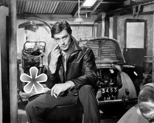 Foto alain delon reproduktion - foto,