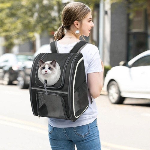 Katze hunde haustier rucksack - katze,