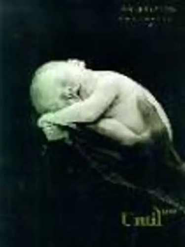 Until now geddes anne - until, geddes,