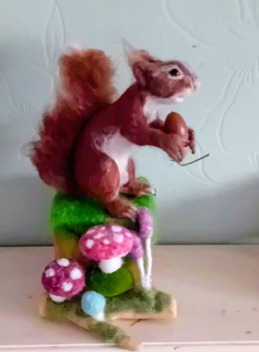 Rotes eichhörnchen frisst - rotes,