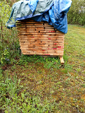 schalungs bretter zöllig 4m