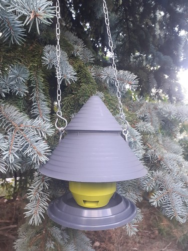 Vogelhäuschen