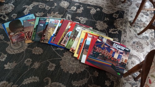 28x lps job lot - job, bundle