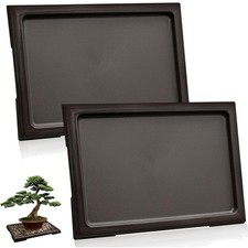 Bonsai Blumentopf Pflanze