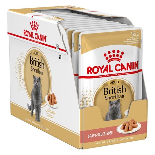 Royal canin british shorthair - british,