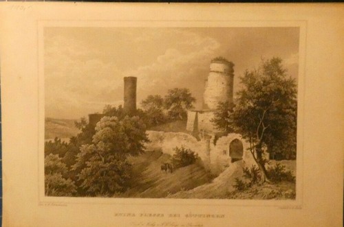 Höfer ruine plesse - ruine,