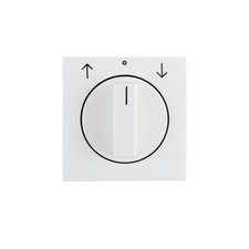 Berker Zentralstück mit