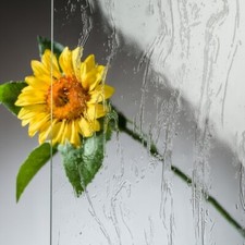 Ersatzglas für Grablaterne