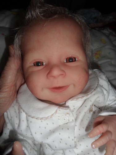 Reborn sebastian von olga - von,