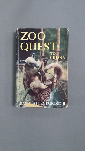 Zoo quest guiana david - to,