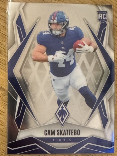 Panini phoenix nfl - phoenix,