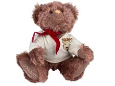 Schildkröt Künstlerbär