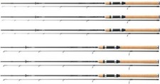 Daiwa EXCELER SPIN Angelrute