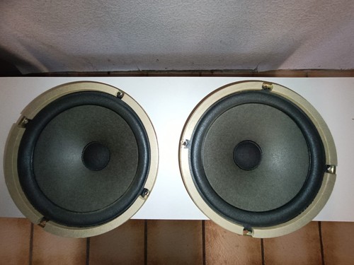 Vintage pioneer woofer - pioneer,