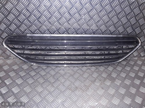 2013 ford fiesta kuhlergrill - 2013,