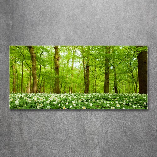 Glas bild wandbilder druck - druck, auf