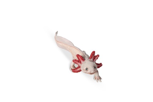 Papo 56066 axolotl cm - 56066, 9