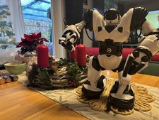 Robot Spielzeug Elektrisch Beweglich Kinderspielzeug mit Fernbedienung