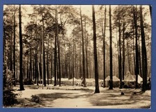 Pionierlager A. Matrossow am Störitzsee 1965, Zeltlager, bei Grünheide