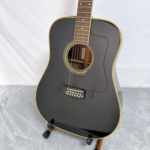 Takamine saitige - takamine, 12-saitige