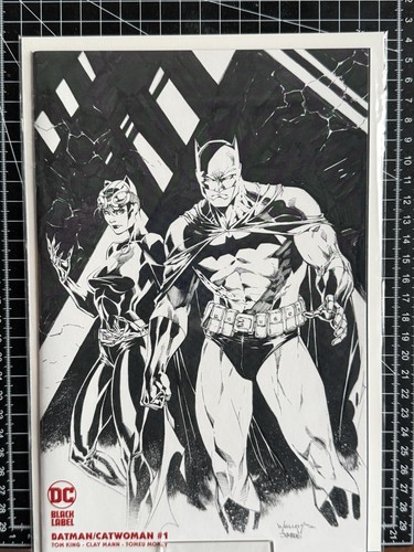 Batman catwoman scott - catwoman,