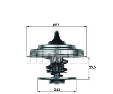 Mahle behr thermostat - mahle,