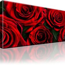 Rote Rosen Natur Bild Bilder Leinwand Keilrahmen Wandbild Kunstdruck