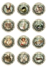 Wasserschiebefolie-Decalfolie-