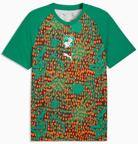 Puma elfenbeinküste - puma,