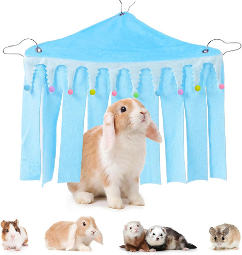 Blau meerschweinchen versteck - blau,