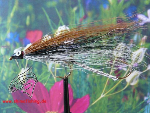 Streamer black nose - ", dace