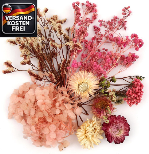 Trockenblumen bastelset für - trockenblumen,