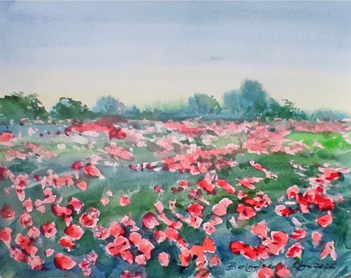 Original aquarell mohnfeld - aquarell,