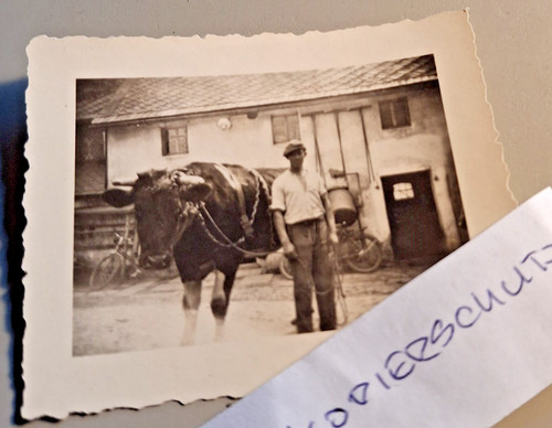 Altes foto vintage - altes,