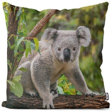 Koala Kissenhülle Foto Tier