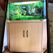 Eckaquarium mit Unterschrank, Eiche FURNIER, Fabrikat: Juwel, Maße: Tiefe: 64 cm