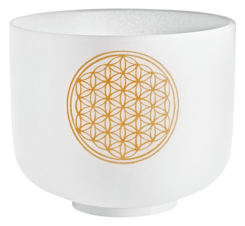 Meinl sonic energy pcsb8fol - meinl, 8"
