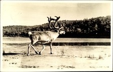 Ak Finnland, Landschaft mit