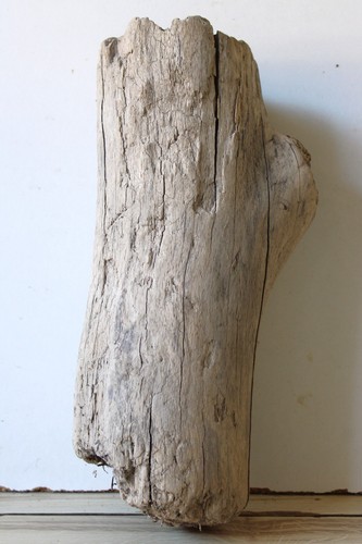 Treibholz schwemmholz - treibholz,